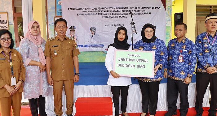 Wakil Bupati Tangerang Salurkan Bantuan Ekonomi untuk Kampung KB Mekarsari