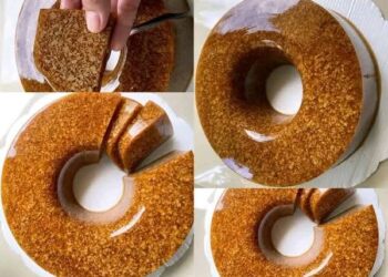Resep Puding Lumut Santan Gula Merah