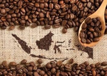 Industri Kopi Olahan Nasional Melesat, Potensi Besar di Pasar Global