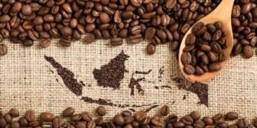 Industri Kopi Olahan Nasional Melesat, Potensi Besar di Pasar Global