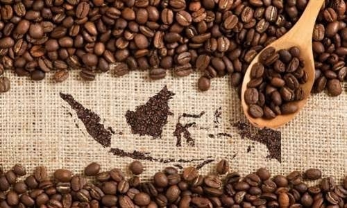 Industri Kopi Olahan Nasional Melesat, Potensi Besar di Pasar Global