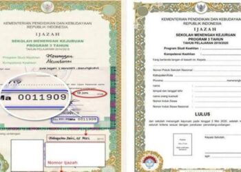 Cara Mudah Mengecek Nomor Ijazah SD, SMP, dan SMA