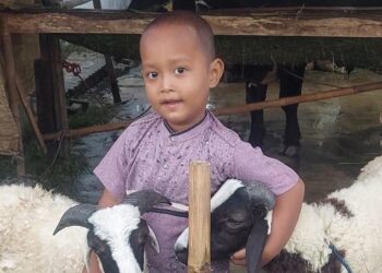 Panduan Lengkap, Memilih Hewan Kurban yang Sah Sesuai Syariat Islam