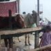 Belum Akikah Apa Boleh Kurban? Ini Penjelasannya