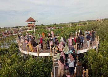 Menjelajahi Keindahan dan Potensi Ekonomi Taman Mangrove Tangerang