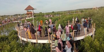 Menjelajahi Keindahan dan Potensi Ekonomi Taman Mangrove Tangerang