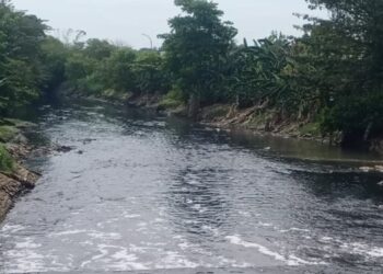 Menteri LHK Melongo Lihat Kondisi Air Sungai Hitam Pekat, Berbusa dan Bau tak Sedap