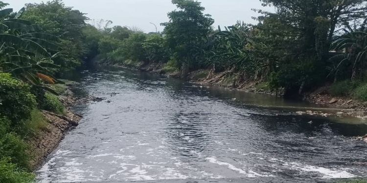 Menteri LHK Melongo Lihat Kondisi Air Sungai Hitam Pekat, Berbusa dan Bau tak Sedap