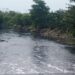 Menteri LHK Melongo Lihat Kondisi Air Sungai Hitam Pekat, Berbusa dan Bau tak Sedap