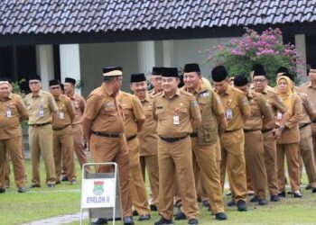 WFA