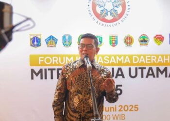 Gubernur Banten, Andra Soni