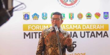 Gubernur Banten, Andra Soni