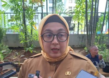 Wakil Bupati Tangerang, Intan Nurul Hikmah