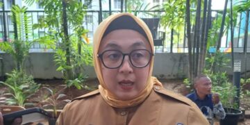 Wakil Bupati Tangerang, Intan Nurul Hikmah