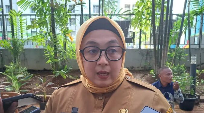Wakil Bupati Tangerang, Intan Nurul Hikmah