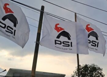 Logo PSI