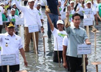 Terjang Lumpur, Wapres Gibran Tanam Mangrove di Pesisir Mauk Tangerang