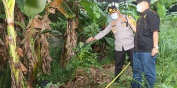 Geger Cikupa! Mayat Tanpa Identitas Ditemukan Membusuk Dalam Plastik di Kebun Pisang
