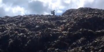 Danantara: Tender PSEL Empat Kota Siap Berjalan, Daerah Mana Saja?