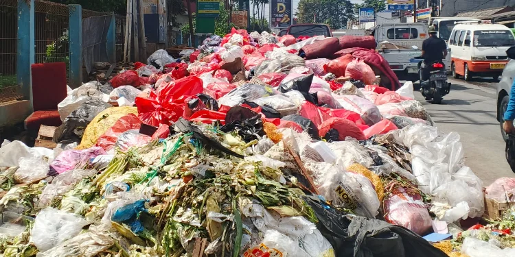 Pengelola Aset UI Soroti Lemahnya Pengawasan DLH Tangsel Atasi Tempat Sampah Liar di Serpong