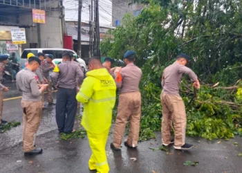 Polsek Ciputat Timur Atasi Pohon Tumbang di Jalan RE Martadinata Tangsel