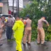 Polsek Ciputat Timur Atasi Pohon Tumbang di Jalan RE Martadinata Tangsel