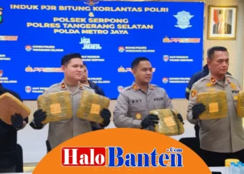 Polres Tangerang Selatan Gagalkan Peredaran 40 Kg Ganja Lintas Provinsi di Tol Bitung–Serpong