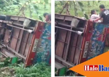 Mobil Odong-odong Angkut Wisatawan Gunung Sindur Terperosok di Rumpin, Sembilan Orang Luka