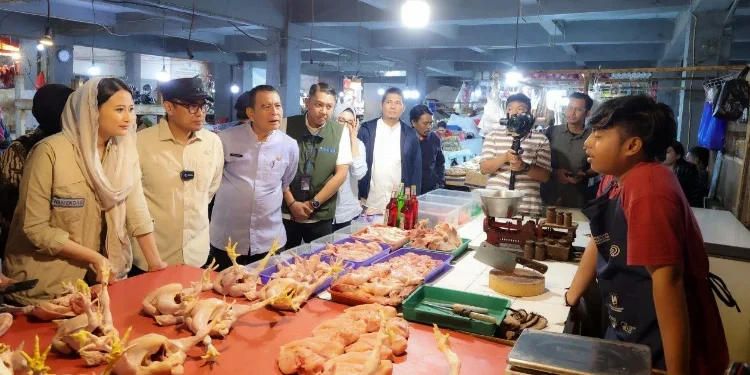 Wakil Wali Kota Tangsel Dampingi Wamendag Pantau Harga Sembako di Pasar Ciputat, Stok Pangan Tetap Aman