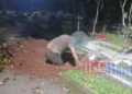 Pria di Muncul Tangsel Nekat Gali Makam Ibu di TPBU Sengkol, Diduga Dipicu Konflik Keluarga