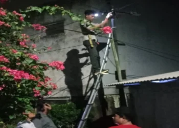 Tiang PJU "Tangsel Terang" di Koceak Kandung Aliran Listrik Hingga Telan Korban, Warga: Sudah Lama Lapor Dishub