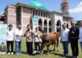 YMSML Salurkan 482 Hewan Kurban ke Berbagai Wilayah Pengembangan Sinar Mas Land