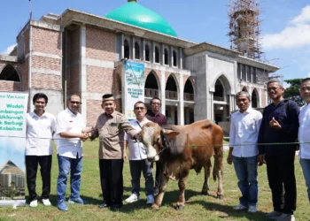 YMSML Salurkan 482 Hewan Kurban ke Berbagai Wilayah Pengembangan Sinar Mas Land