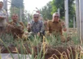 Panen Perdana Bawang Merah Varietas Batu di Tangsel Sukses, Benyamin Dorong Pengembangan Pupuk Bio-Organik