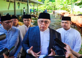 Pemkot Tangsel Salurkan 97 Hewan Kurban, Sebar 10 Ribu Wadah Ramah Lingkungan