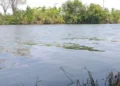 Pencemaran Sungai Ciujung Kembali Terjadi, DLHK Banten Fokus Usut Tiga Aspek Utama
