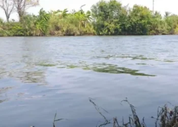Pencemaran Sungai Ciujung Kembali Terjadi, DLHK Banten Fokus Usut Tiga Aspek Utama