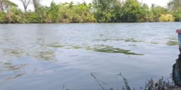 Pencemaran Sungai Ciujung Kembali Terjadi, DLHK Banten Fokus Usut Tiga Aspek Utama