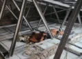 Seorang pria berusia 56 tahun tewas tersetrum listrik saat memperbaiki instalasi rumah di Pamulang, Tangerang Selatan. Evakuasi korban melibatkan Damkar Tangsel.