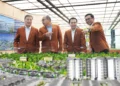 Sinar Mas Land Luncurkan Hunian Ultra Mewah di BSD City, Harga Mulai Rp80 Miliar