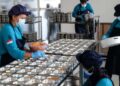 BGN Tutup Permanen 833 Dapur MBG dan Tolak Ganti Rugi