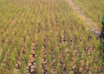 BMKG Tetapkan Peringatan Dini Kekeringan Meteorologis di Banten