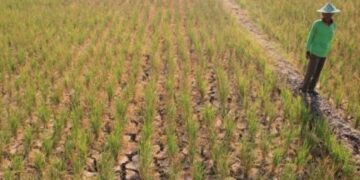 BMKG Tetapkan Peringatan Dini Kekeringan Meteorologis di Banten