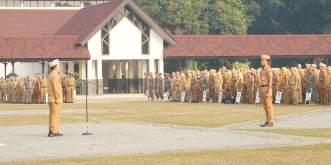 Kemarau Panjang di Kabupaten Tangerang, Pemkab Siaga Kebakaran