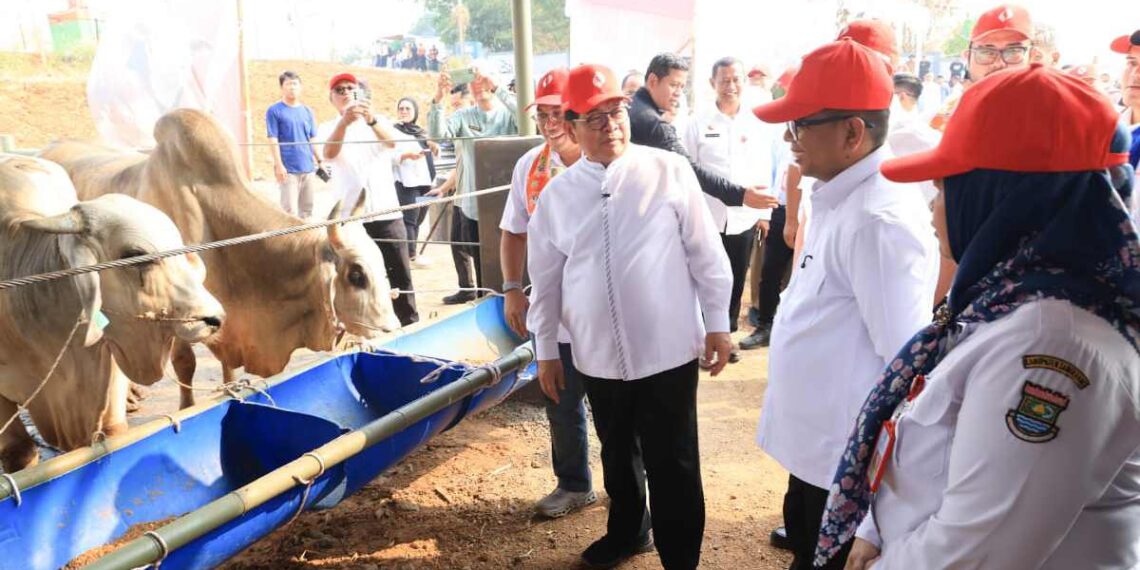 Pemprov DKI Jakarta Kucurkan Rp1 Triliun Bangun Peternakan Ciangir Tangerang