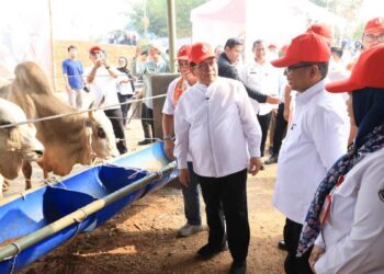 Pemprov DKI Jakarta Kucurkan Rp1 Triliun Bangun Peternakan Ciangir Tangerang