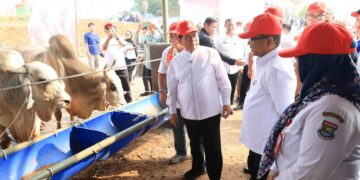 Pemprov DKI Jakarta Kucurkan Rp1 Triliun Bangun Peternakan Ciangir Tangerang
