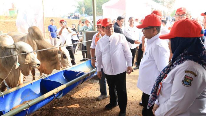 Pemprov DKI Jakarta Kucurkan Rp1 Triliun Bangun Peternakan Ciangir Tangerang
