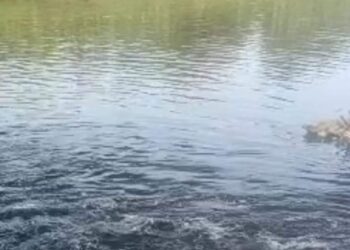 Penyebab Air Sungai Cisadane Tangerang Hitam Terungkap
