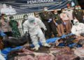 Karantina Banten Gagalkan Penyelundupan Tiga Ton Daging Celeng dan 600 Kg Daging Labi-Labi Tanpa Dokumen di Pelabuhan Merak